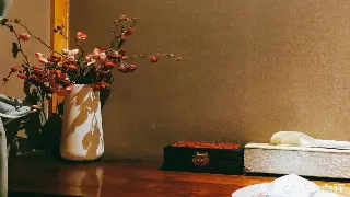 千年指尖舞：揭秘厦门按摩的前世今生，从古法到现代养生新宠！