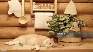 厦门桑拿按摩文化溯源：探寻古老按摩术的历史渊源与发展