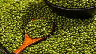 告别盲选！厦门按摩养生新手必看：避坑指南与舒爽秘籍