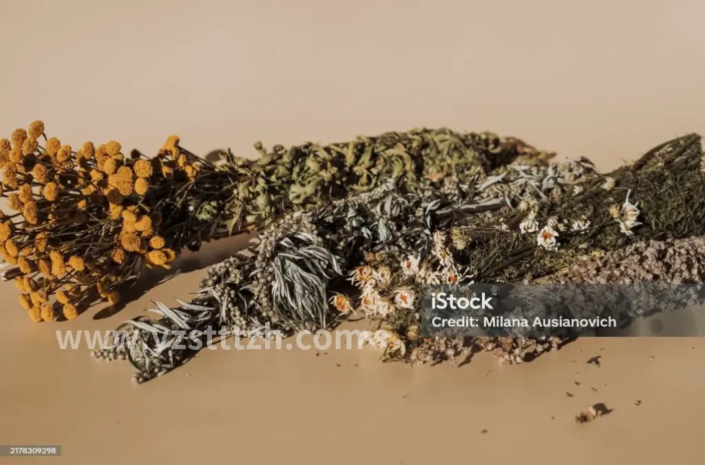 个性化养生方案